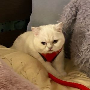 Meet your Posher, Lynn